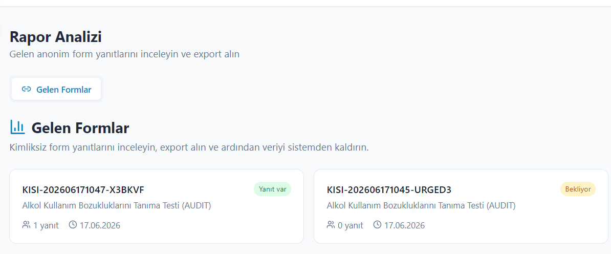 Rapor Analizi genel görünüm
